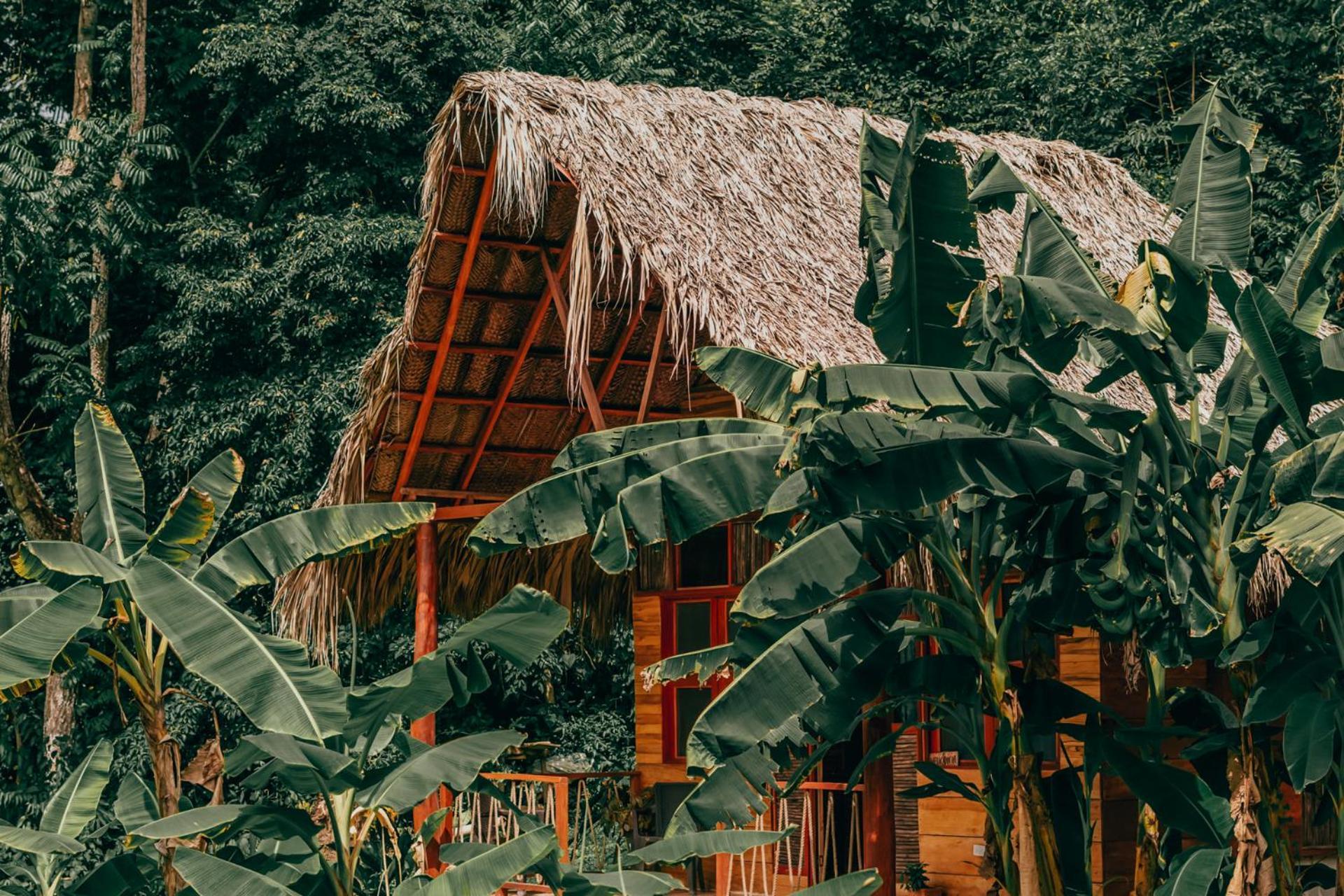 Magic Green Dentro Del Parque Tayrona El Zaino Extérieur photo