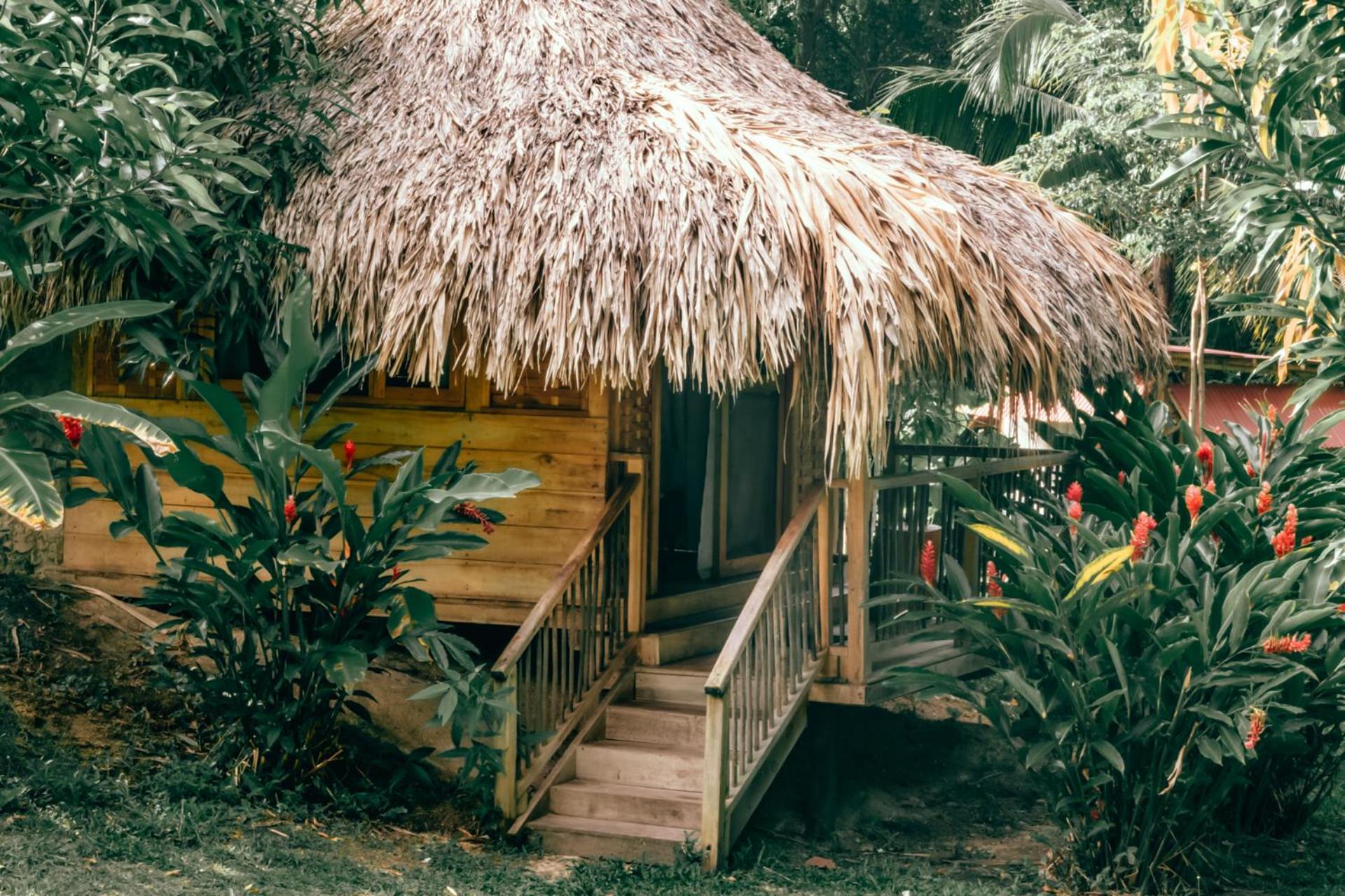 Magic Green Dentro Del Parque Tayrona El Zaino Extérieur photo