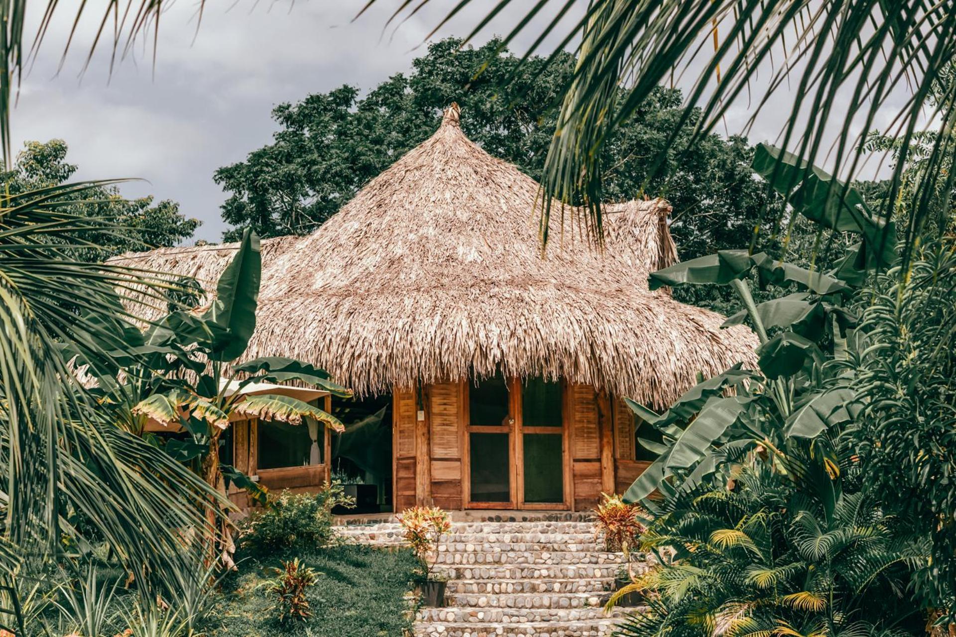 Magic Green Dentro Del Parque Tayrona El Zaino Extérieur photo