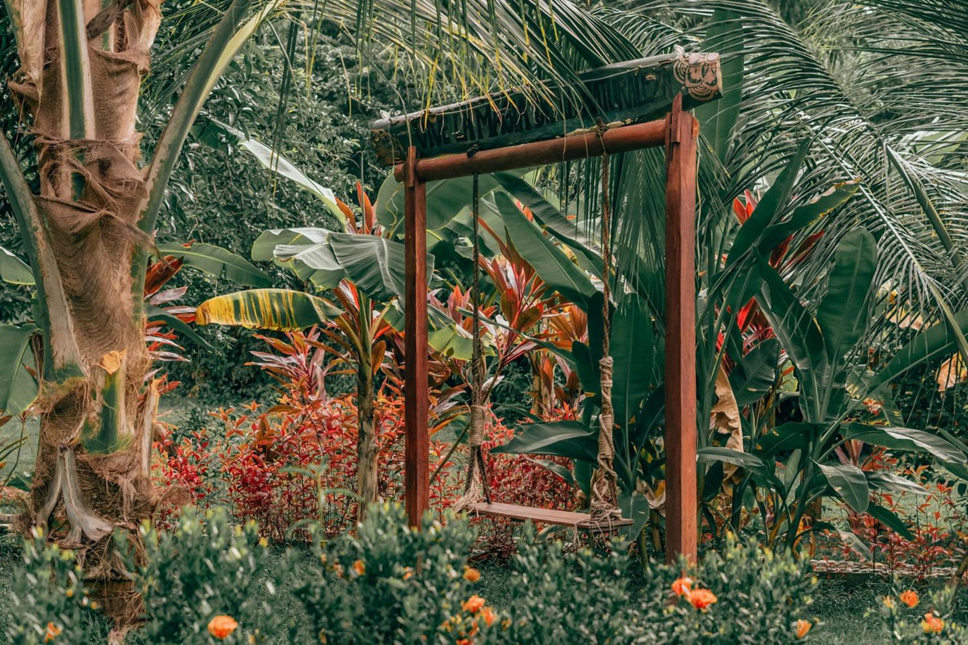 Magic Green Dentro Del Parque Tayrona El Zaino Extérieur photo