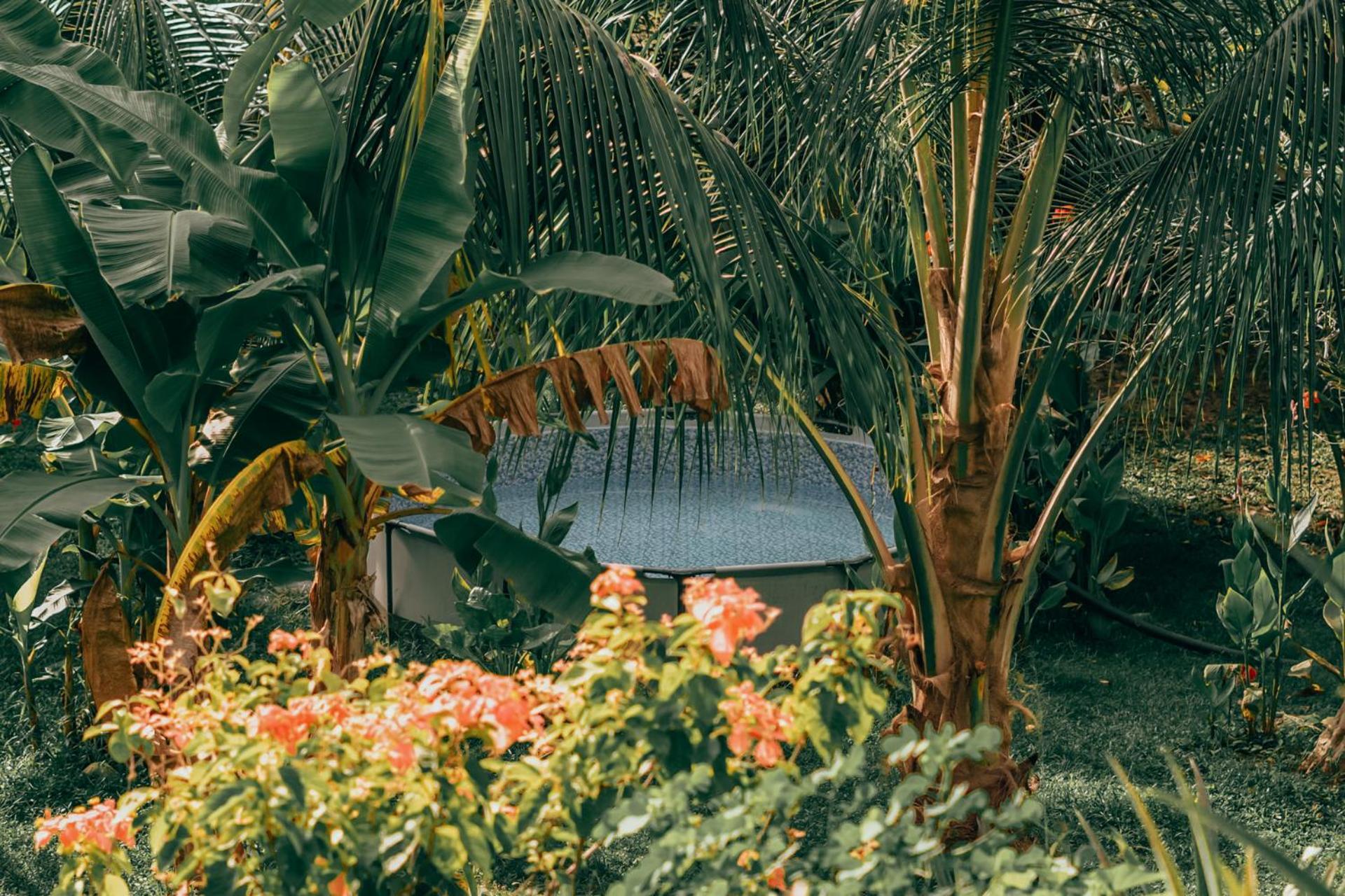 Magic Green Dentro Del Parque Tayrona El Zaino Extérieur photo